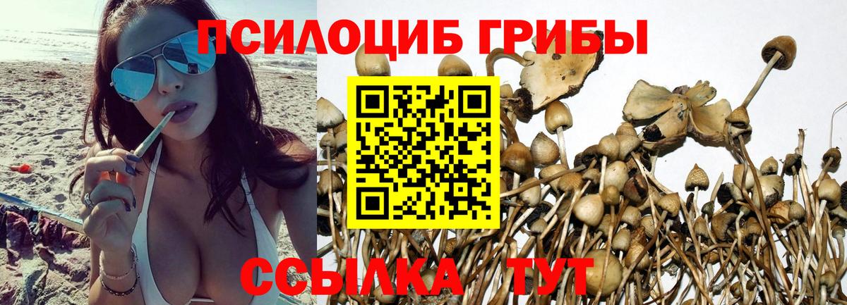 Киров  Псилоцибиновые грибы прущие грибы  Вход с VPN 